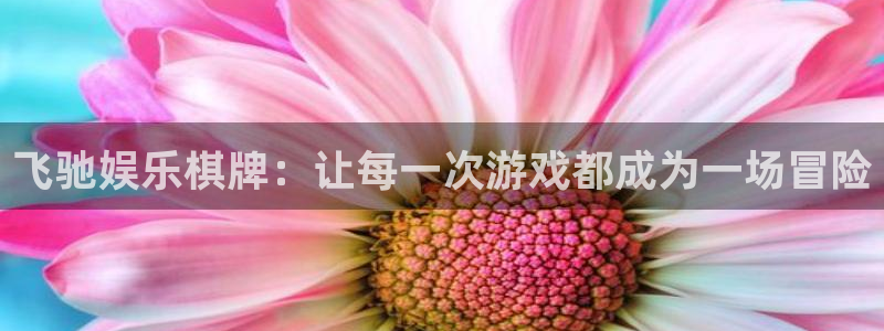 500网球赛：飞驰娱乐棋牌：让每一次游戏都成为一场冒险