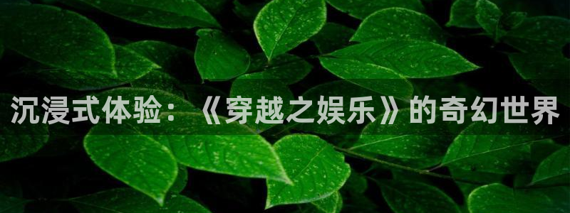 500网比赛结果：沉浸式体验：《穿越之娱乐》的奇幻世界