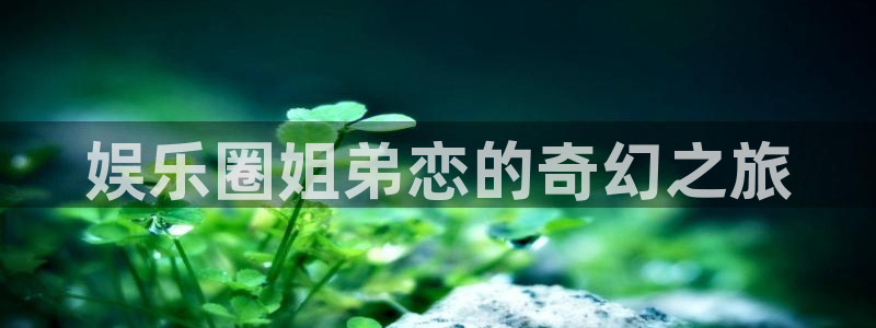 500网竞彩比分：娱乐圈姐弟恋的奇幻之旅