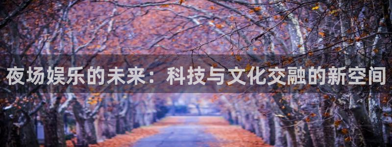 500网app苹果版：夜场娱乐的未来：科技与文化交融的新空间