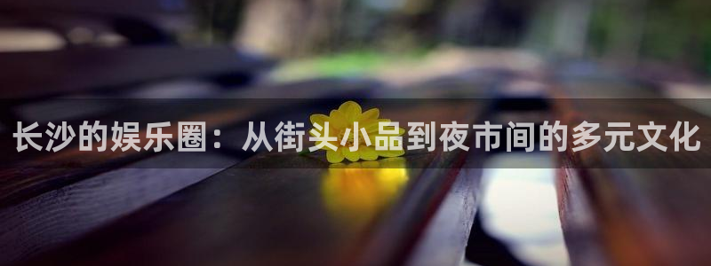 篮球比赛结果查询500网：长沙的娱乐圈：从街头小品到夜市间的多元文化