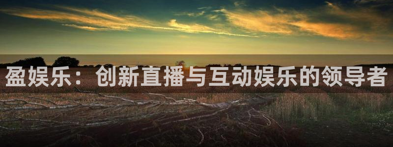 比分500网