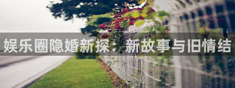 500网安卓版下载：娱乐圈隐婚新探：新故事与旧情结