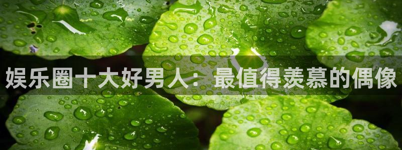 500网足球比分直播：娱乐圈十大好男人：最值得羡慕的偶像