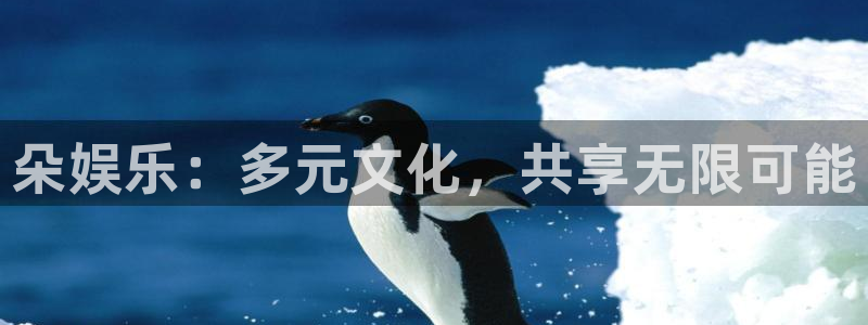 500网官网入口：朵娱乐：多元文化，共享无限可能