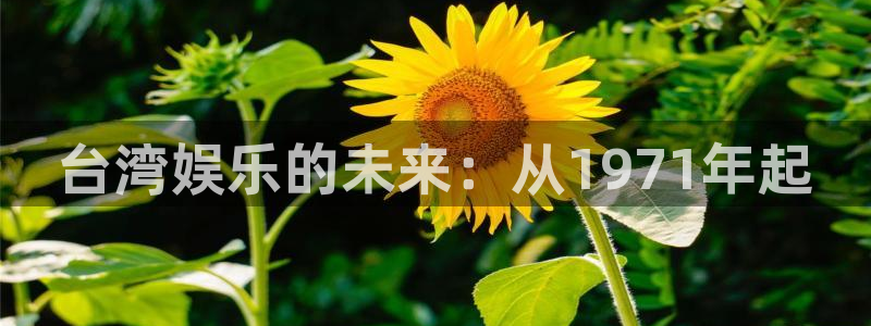 足球比赛直播500网：台湾娱乐的未来：从1971年起