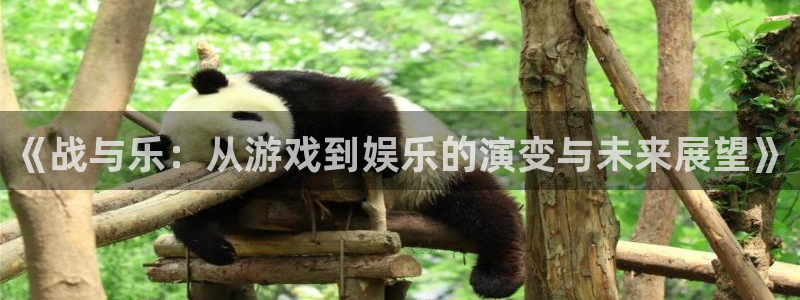 凯利指数欧赔500网：《战与乐：从游戏到娱乐的演变与未来展望》
