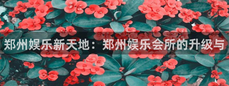 500网app下载：郑州娱乐新天地：郑州娱乐会所的升级与