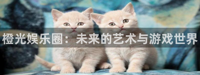 500网app官网下载：橙光娱乐圈：未来的艺术与游戏世界