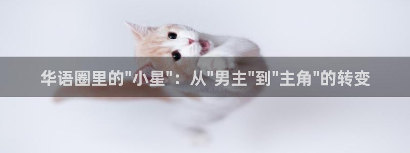 500网足球赛程：华语圈里的\