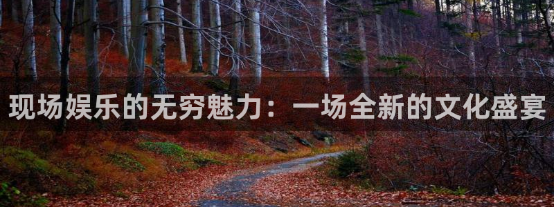 500网三地试机号：现场娱乐的无穷魅力：一场全新的文化盛宴