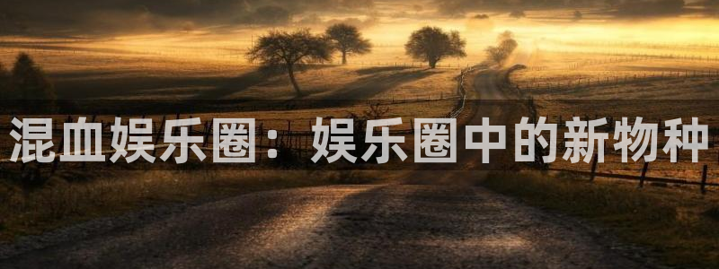 500网凯利值指数：混血娱乐圈：娱乐圈中的新物种