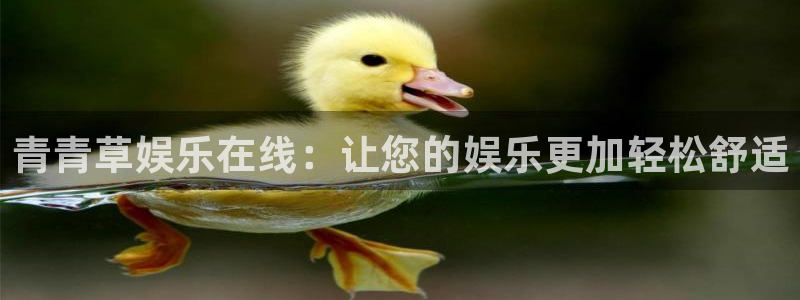 500网凯利指数：青青草娱乐在线：让您的娱乐更加轻松舒适