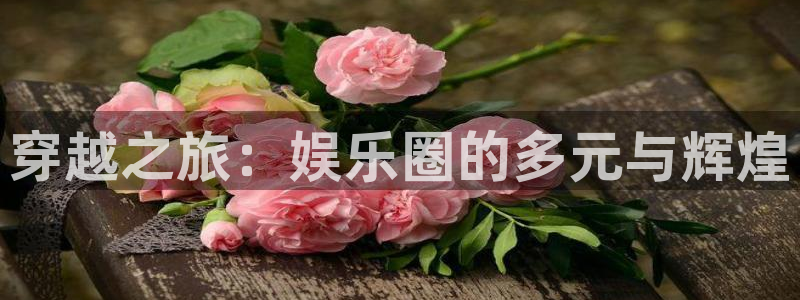 500网足球即时比分：穿越之旅：娱乐圈的多元与辉煌