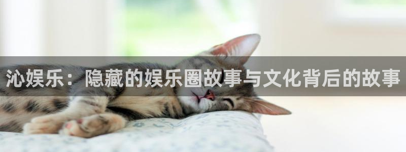足球比赛查询500网：沁娱乐：隐藏的娱乐圈故事与文化背后的故事