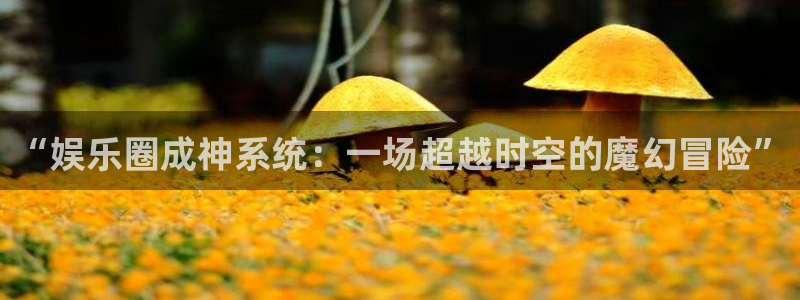 500网混合过关：“娱乐圈成神系统：一场超越时空的魔幻冒险”