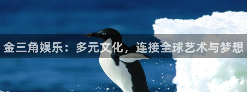 500网每年十月份赠送彩金是真的吗：金三角娱乐：多元文化，连接全球艺术与梦想