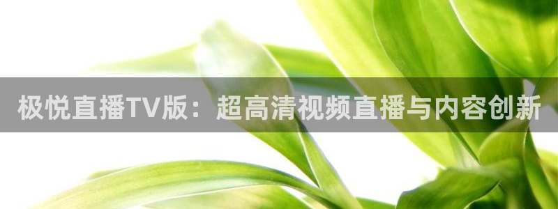 500网比分查询技巧：极悦直播TV版：超高清视频直播与内容创新