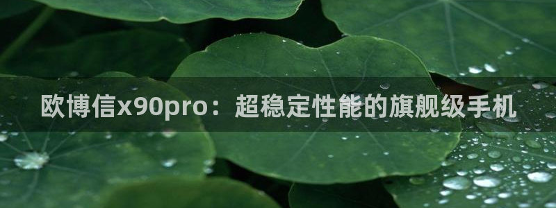 500网没有指数了：欧博信x90pro：超稳定性能的旗舰级手机