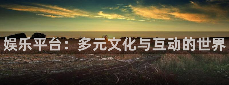 500网足球比分完场版：娱乐平台：多元文化与互动的世界