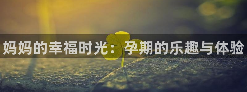500网app苹果版：妈妈的幸福时光：孕期的乐趣与体验