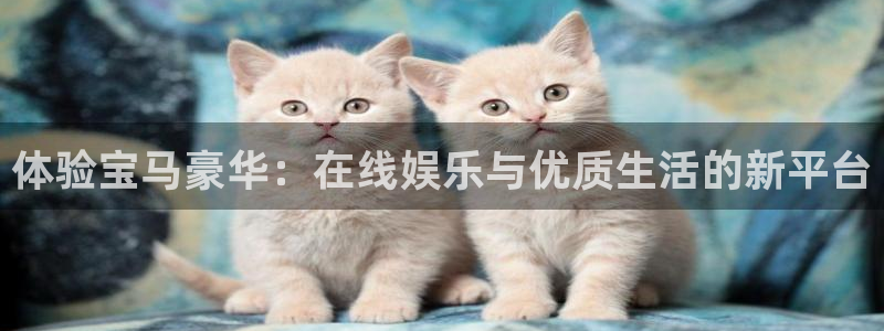 500网官方下载：体验宝马豪华：在线娱乐与优质生活的新平台