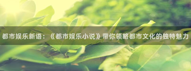 500网足球赛程：都市娱乐新语：《都市娱乐小说》带你领略都市文化的独特魅力