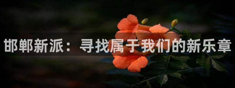 500网混合过关：邯郸新派：寻找属于我们的新乐章