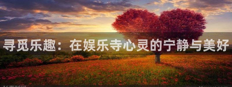 今天足球比赛结果500网：寻觅乐趣：在娱乐寺心灵的宁静与美好
