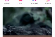 快手播放电影直播怎么弄的_快手播放电影直播怎么弄的出来