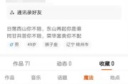 快手点赞作品公开_快手点赞作品公开什么意思