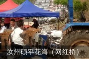 汝州快手点赞_快手点赞可靠吗