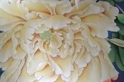 快手点赞有小黄花（快手点赞前面多个标是什么）