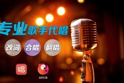 全民k歌代唱自助平台下单的简单介绍