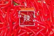 快手免费赞评论网站(快手免费点赞评论神器)