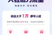 快手播放量可以赚收益吗（快手播放量可以赚收益吗是真的吗）