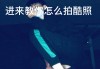 快手活粉网站购买是真的吗安全吗(快手活粉网站购买是真的吗安全吗可靠吗)
