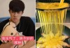 QQ快手点赞（快手点赞起什么作用）