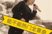 快手歌曲点赞的人是谁（快手歌曲点赞的人是谁啊）