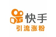 快手粉丝快速增长的网站叫什么_快手粉丝快速增长的网站叫什么来着