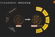 快手点赞转化率（快手点赞转化率多少正常）