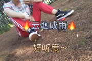快手点赞后没有消息（快手点赞后没有消息通知）