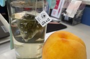 山东大学尔雅课没刷完(尔雅课没刷完有什么后果)