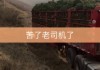 快手主页点赞多（快手点赞作品数已上限怎么弄）