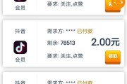 1元一百个赞秒到账(一元100000赞)