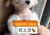 快手一元一百个赞秒到微信(快手一元一百个赞秒到微信是真的吗)