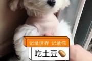 快手一元一百个赞秒到微信(快手一元一百个赞秒到微信是真的吗)