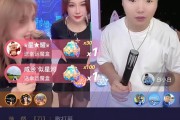 王思聪点赞快手是谁发的（王思聪点赞快手是谁发的视频）