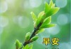 快手点赞早安问候语（朋友圈点赞快手点赞的说说）
