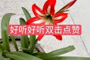 快手精彩评论作品点赞_快手里评论点赞有什么作用
